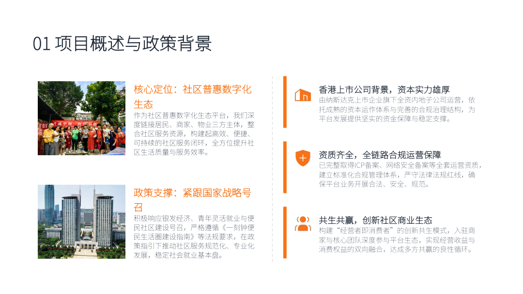 项目概述与政策背景